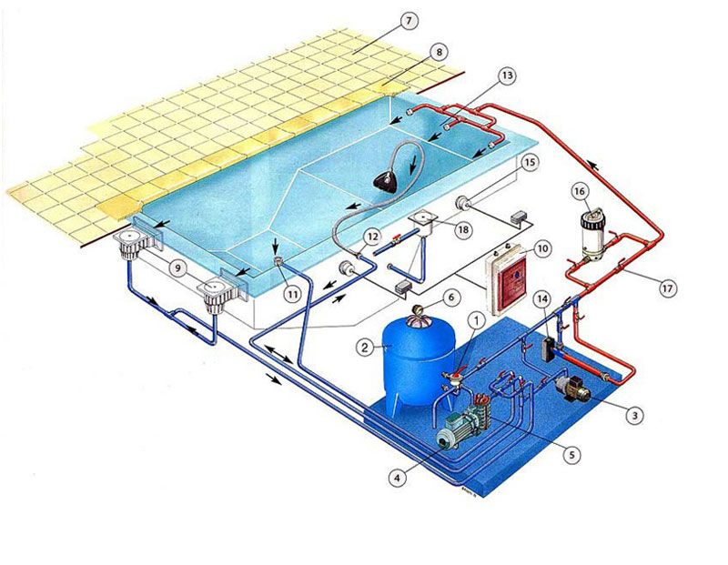 Cấu tạo bể bơi