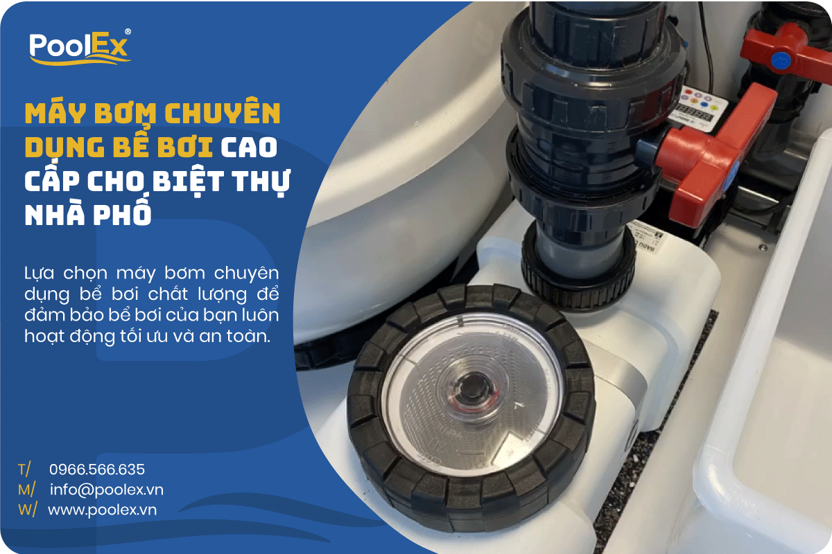 Máy bơm cao cấp bể bơi