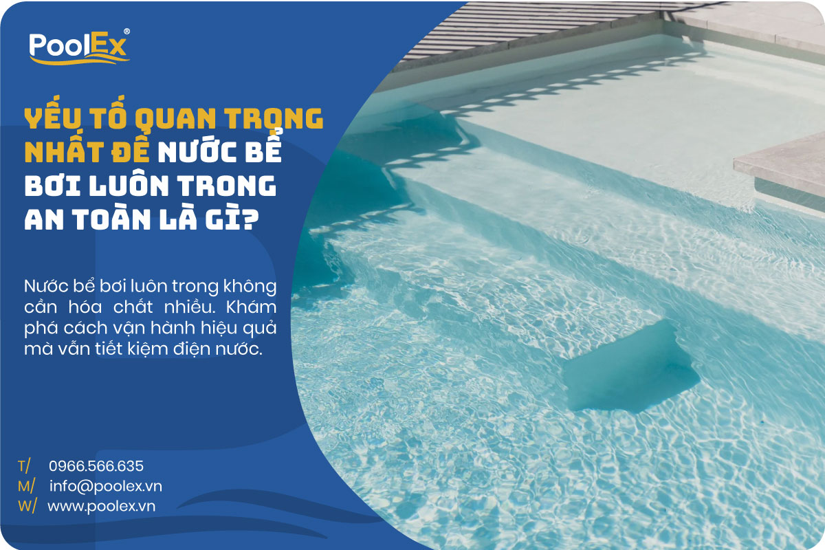 Nước Bể Bơi Luôn Trong
