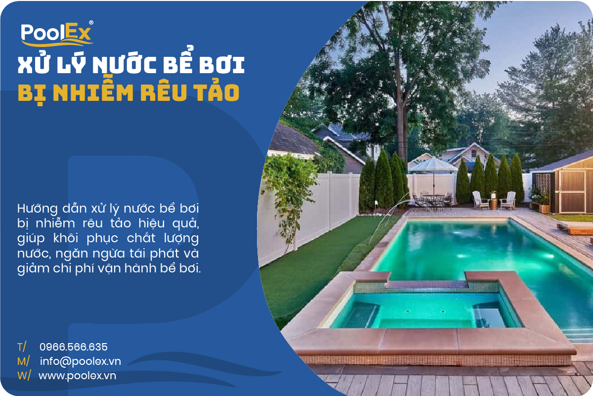 Thumbnail xử lý nước bể bơi bị rêu tảo