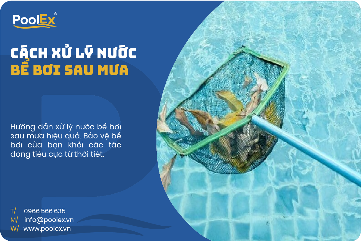 Thumnail xử lý nước bể bơi sau mưa