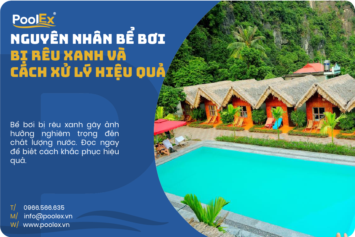 thumbnail nguyên nhân bể bơi bị rêu xanh