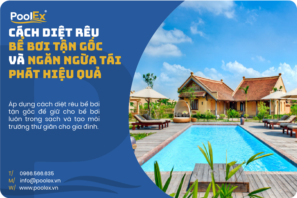 Thumbnail cách diệt rêu bể bơi tận gôccs và ngắn ngừa tái phát hiệu quả