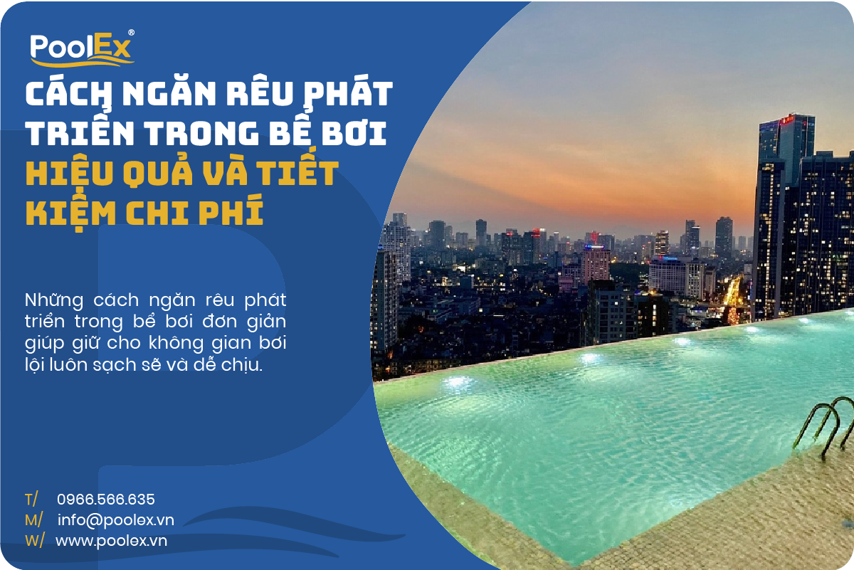 Thumbnail cách ngăn rêu phát triển trong bể bơi hiệu quả và tiết kiệm chi phí