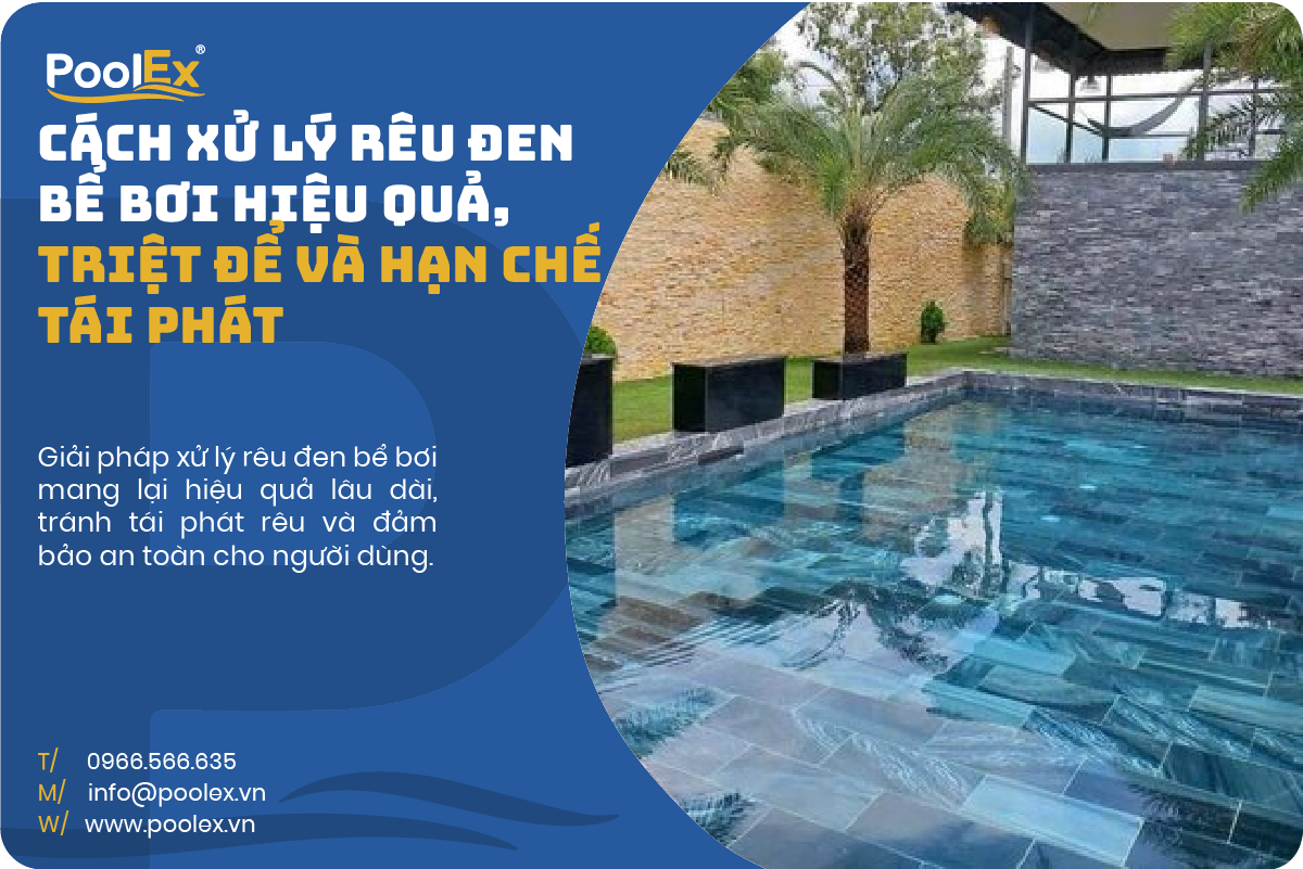 thumbnail cách xử lý rêu đen bể bơi hiệu quả triệt để và hạn chế tái hát
