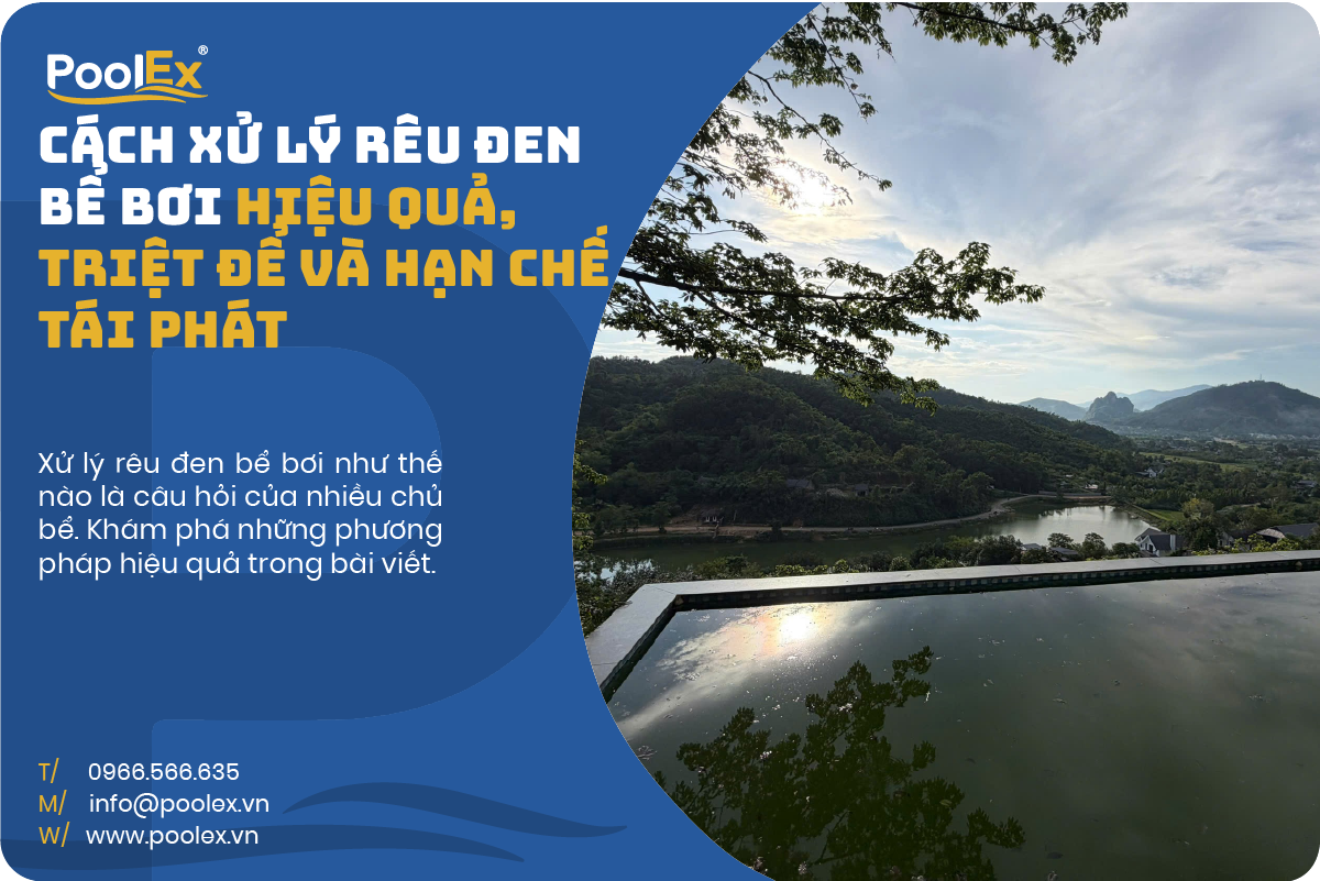 thumbnail cách xử lý rêu đen bể bơi