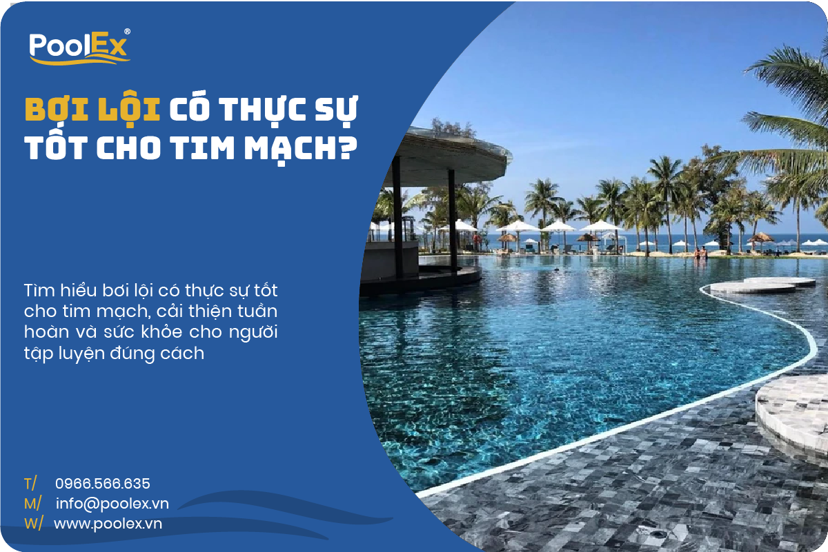 thumbnail bơi lội có tốt cho tim mạch