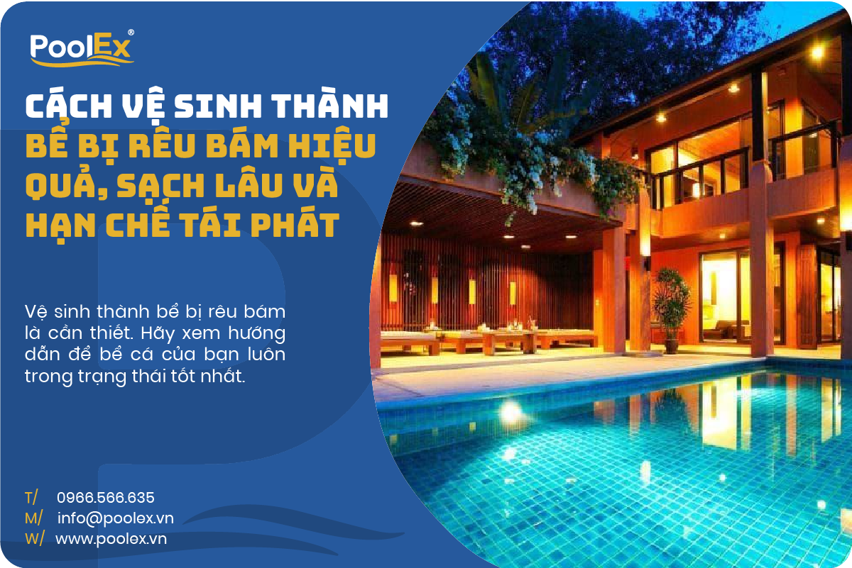Thumbnail vệ sinh thành bể bị rêu bám