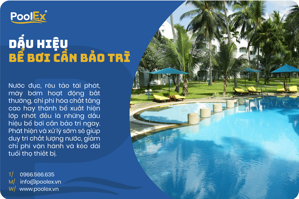 dấu hiệu bể bơi cần bảo trì