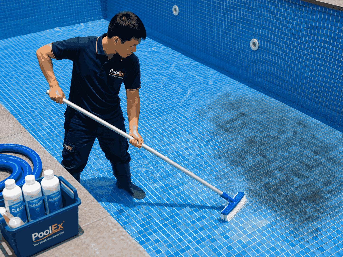 cách làm sạch gạch bể bơi