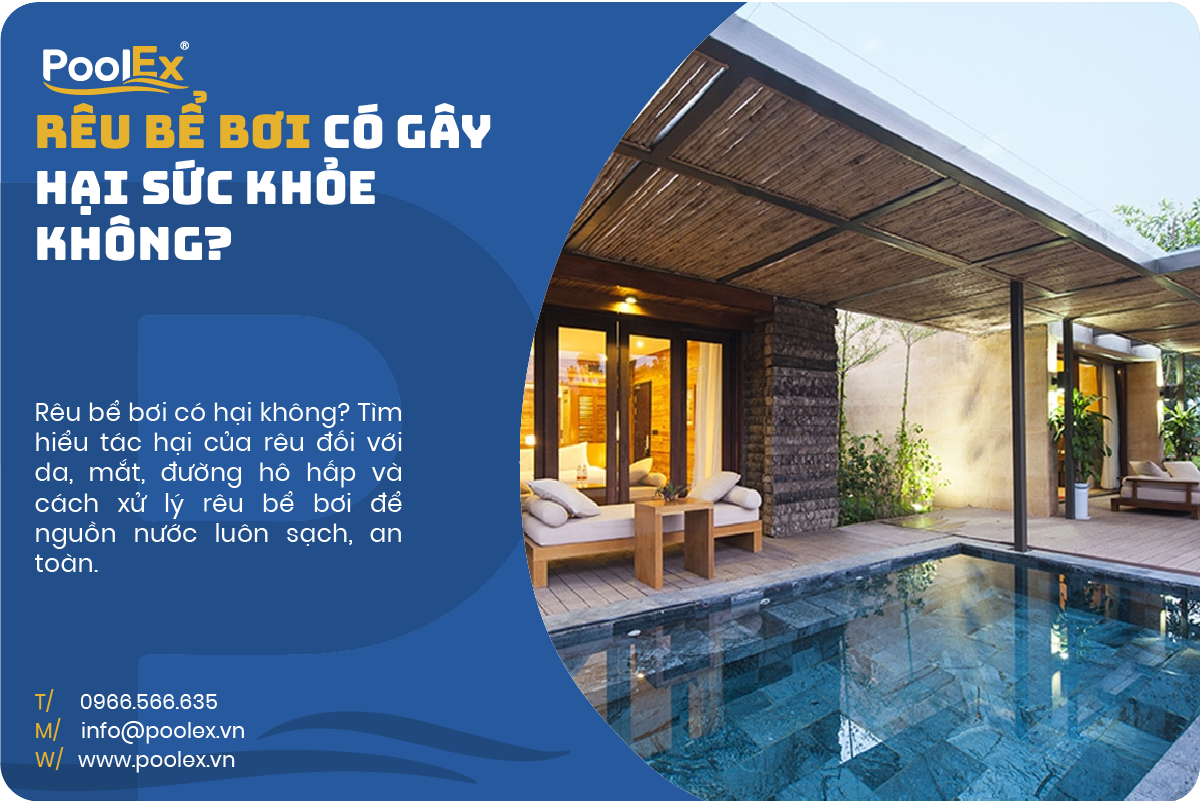 Thumbnail rêu bể bơi có gây hại cho sức khoẻ người bơi không