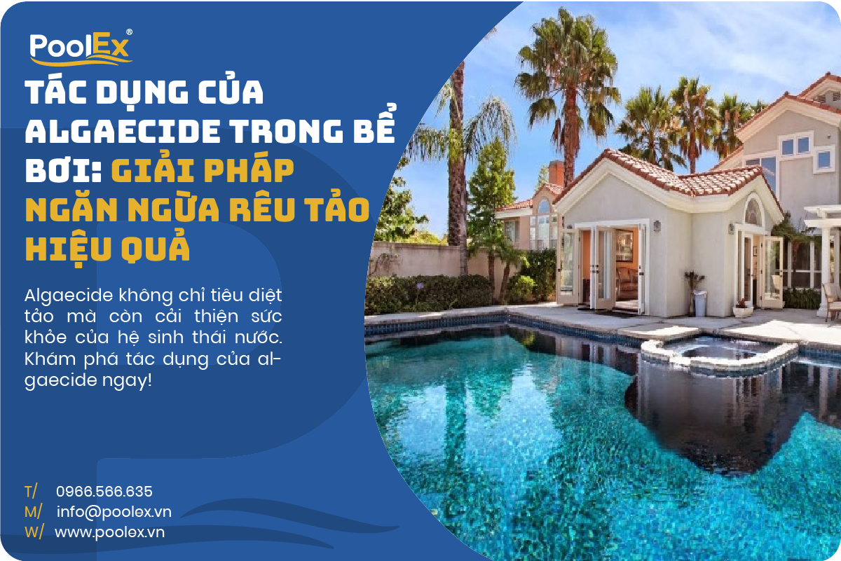 thumbnail tác dụng của algaecide