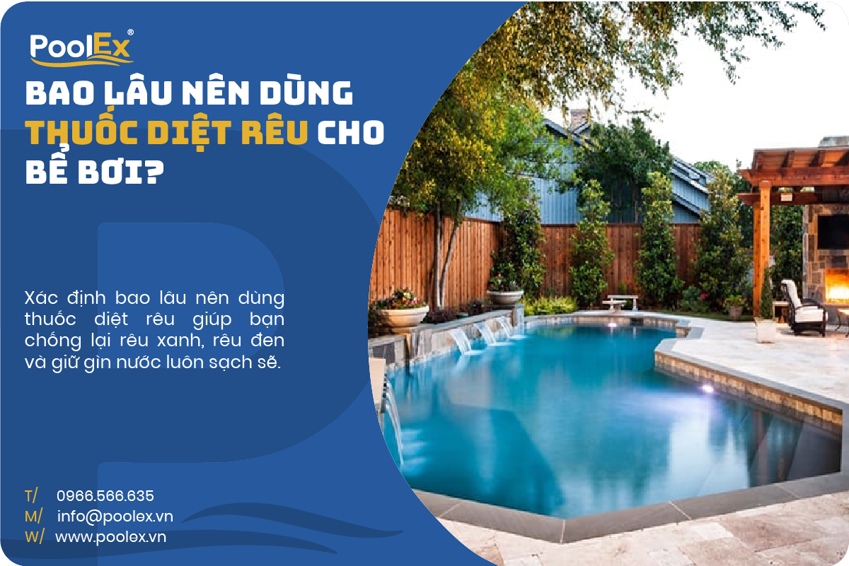 thumbnail bao lâu nên dùng thuốc diệt rêu cho bể bơi