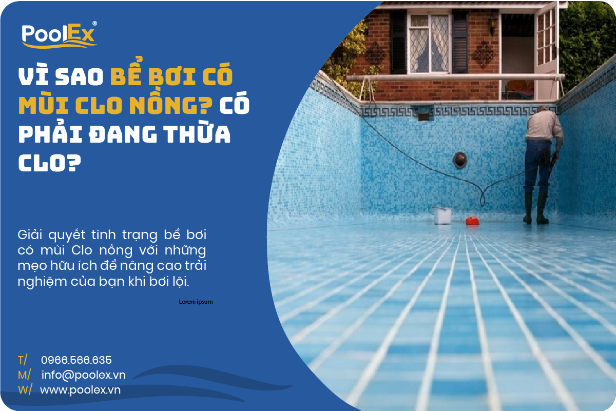 thumbnail bể bơi có mùi clo