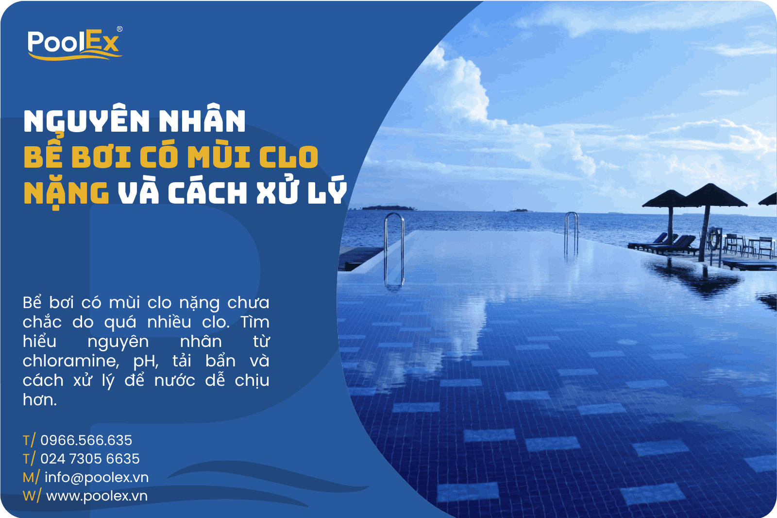 Thumbnail bể bơi có mùi clo nặng và cách xử lý