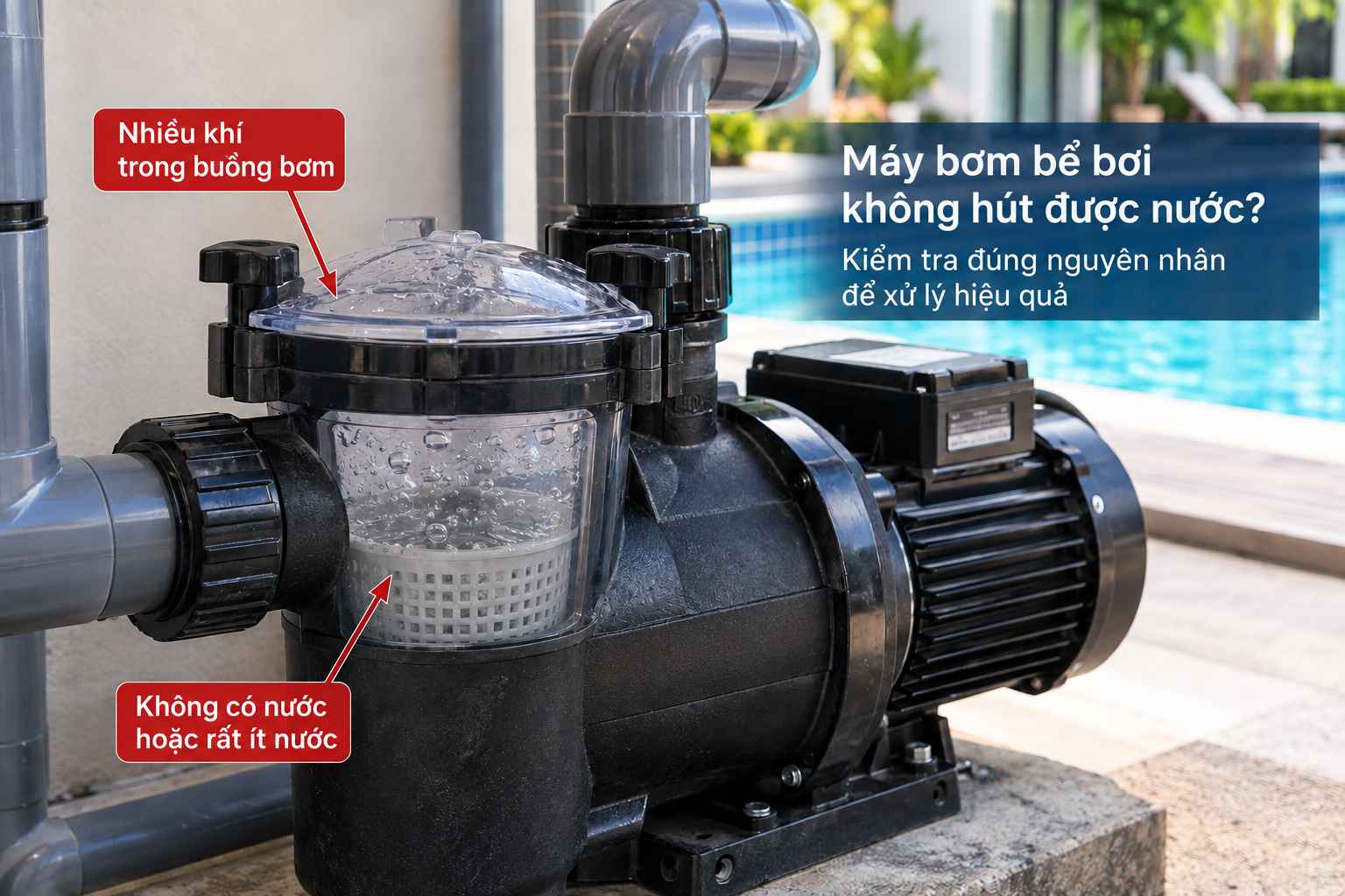 máy bơm bể bơi không hút nước do mất mồi