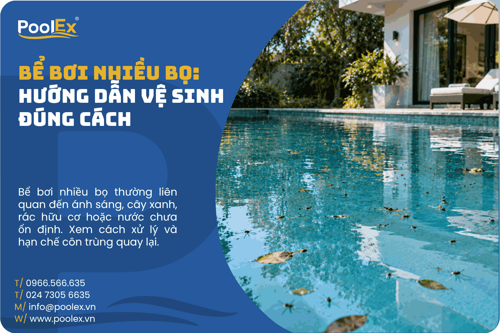 Thumbnail bể bơi nhiều bọ hướng dẫn vệ sinh đúng cách
