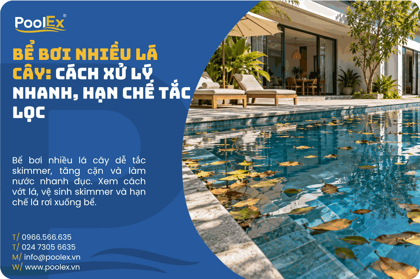 Thumnail bể bơi nhiều lá cây