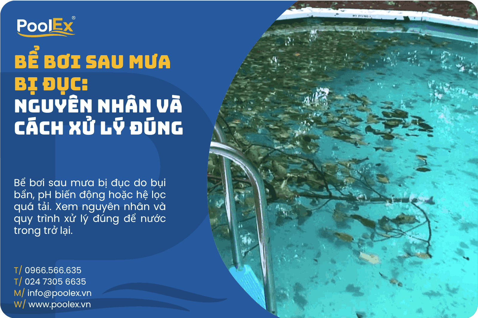 Thumbnail bể bơi sau mưa bị đục