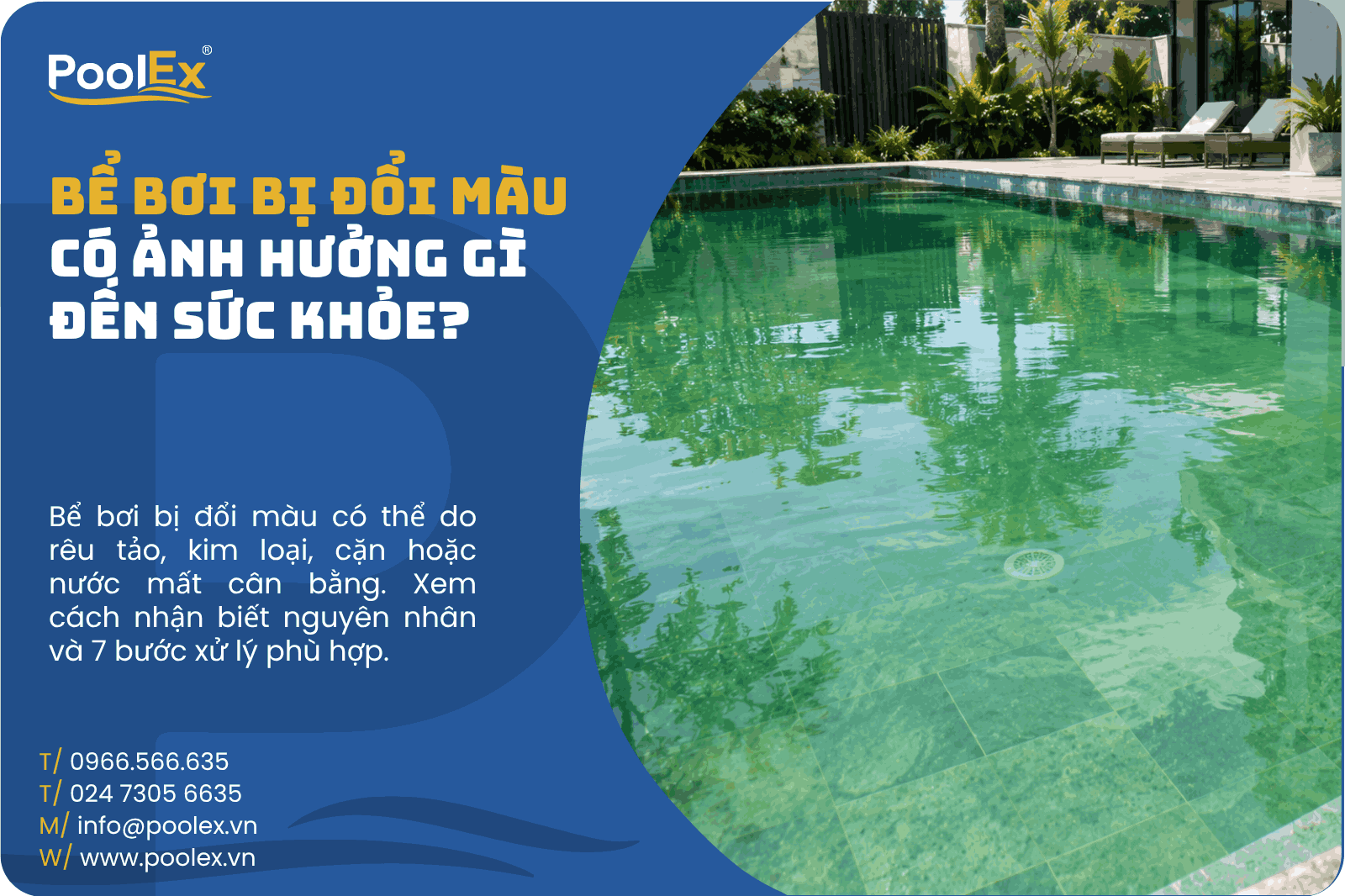 Thumbnail bể bơi bị đổi màu