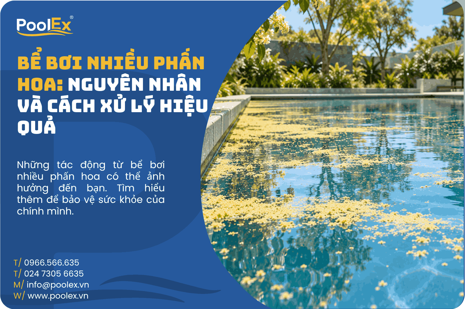 Thumbnail bể bơi nhiều phấn hoa nguyên nhân và cách xử lý hiệu quả