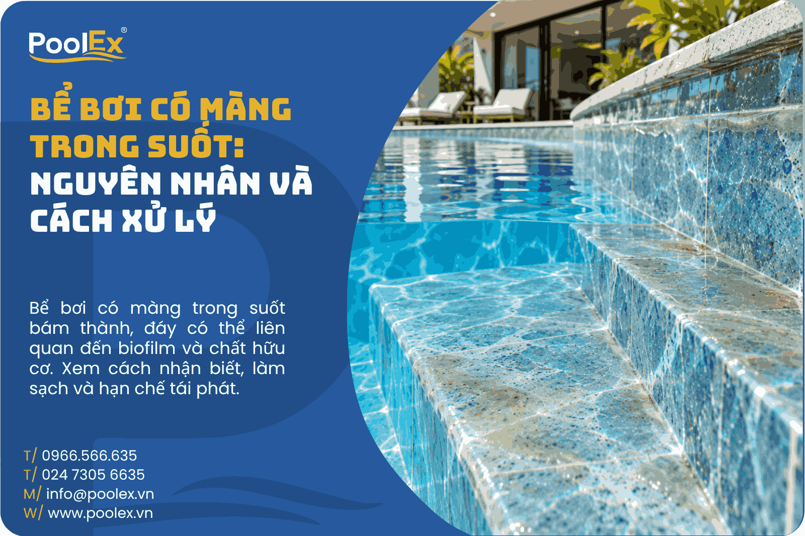 Thumbnail bể bơi có màng trong suốt