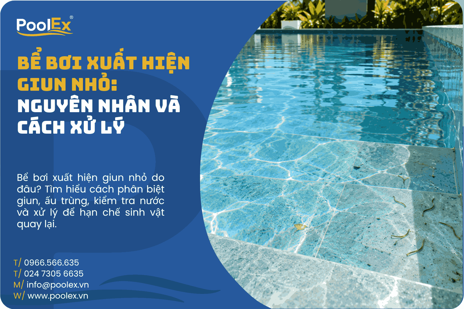 Thumbnail bể bơi xuất hiện giun nhỏ