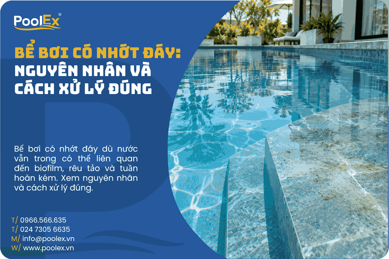 thumbnail bể bơi có nhớt đáy